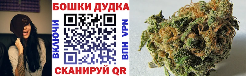 Купить где Новоалександровск Бошки Шишки SATIVA & INDICA